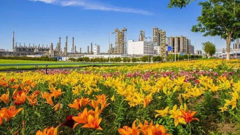 东莞表面活性剂原料：揭秘其背后的技术与应用
